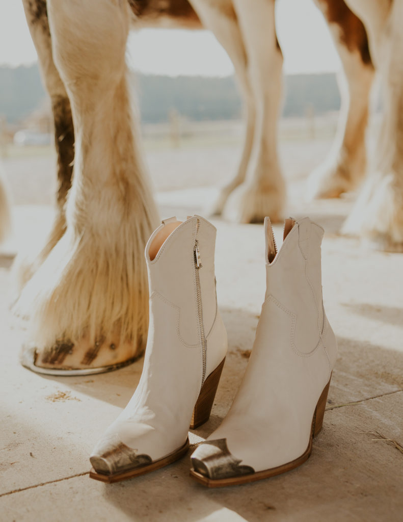 Clydesdale and Bridal shoes