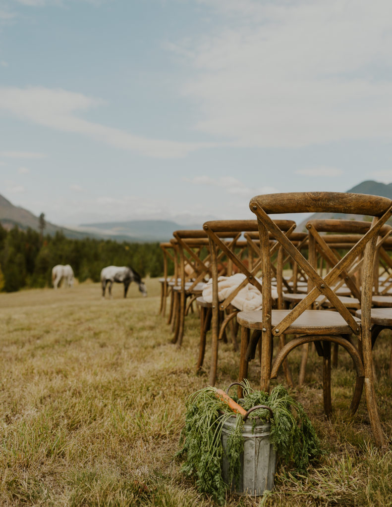 Montana Wedding Venue with Horses 