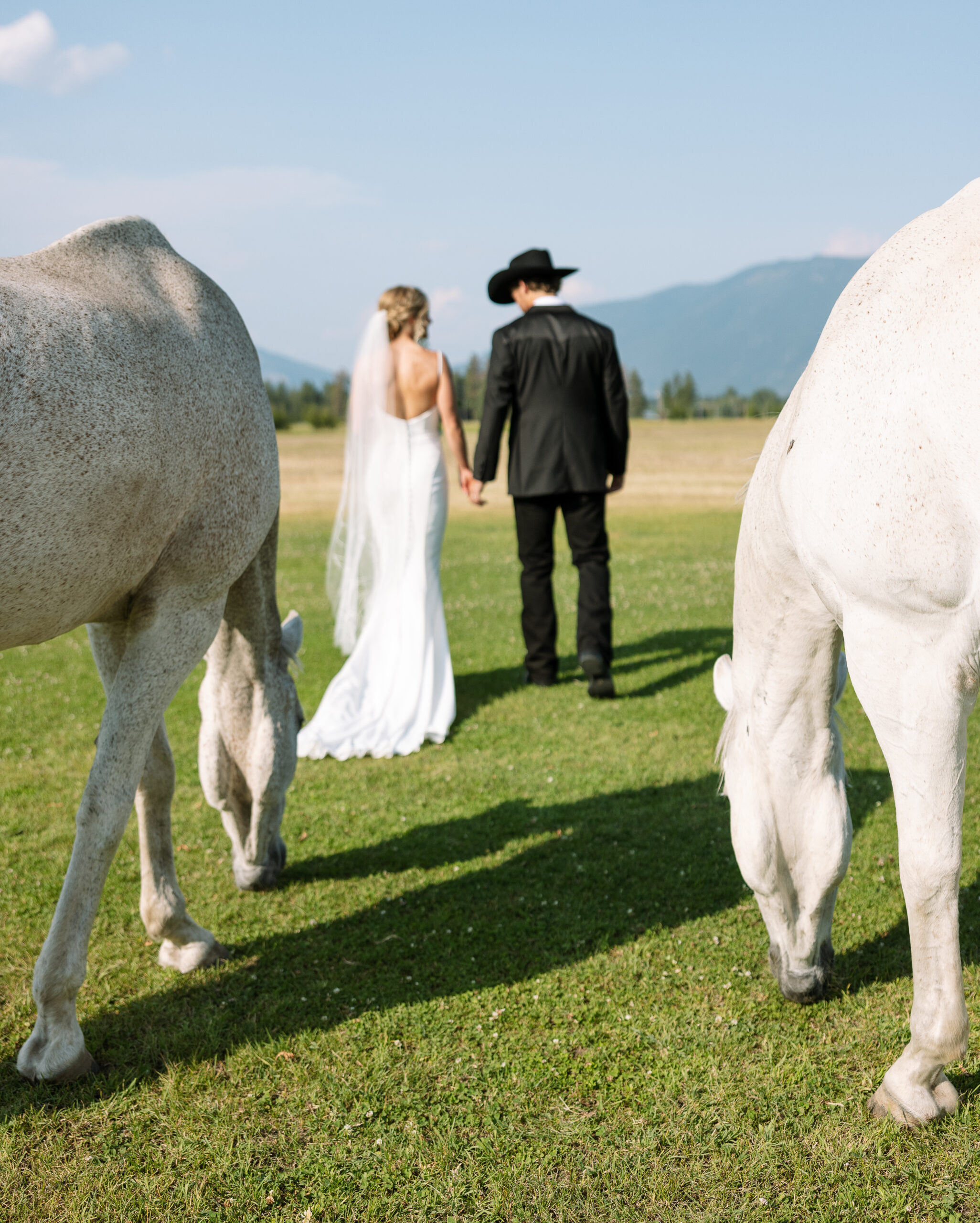 Montana Wedding with Horses