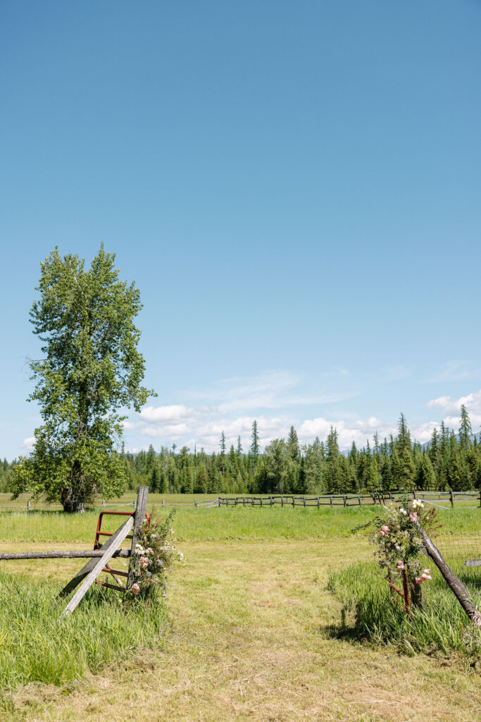 Glacier National Park Intimate Wedding