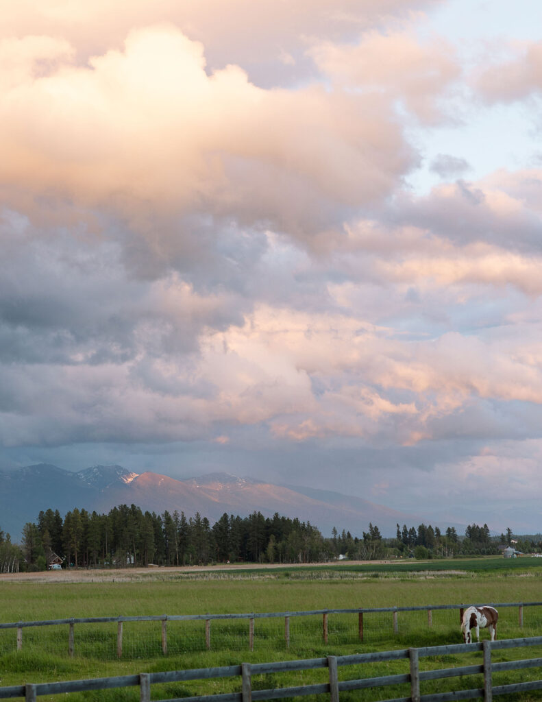 Stormy Montana sky with soft pink clouds, a backdrop for storytelling wedding photography.