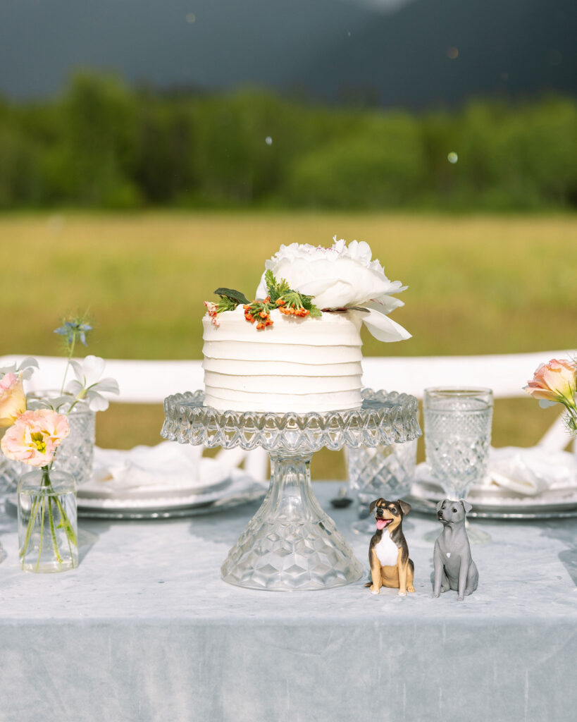Green Valley Ranch Wedding Venue - Cake Details