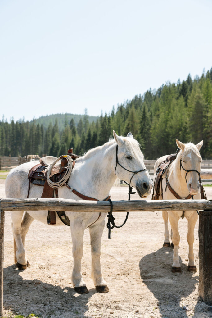 Northwest Montana Western Wedding Inspiration - Ranch Wedding