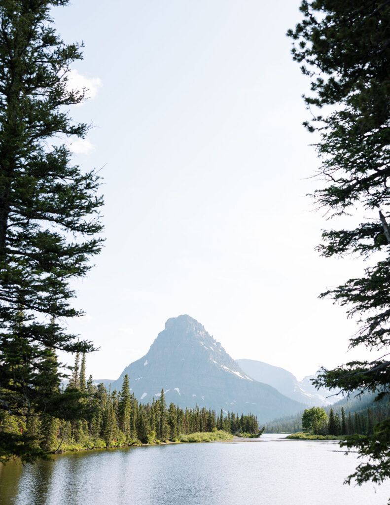 Scenic view of a mountain peak and lake framed by pine trees in Glacier National Park.
