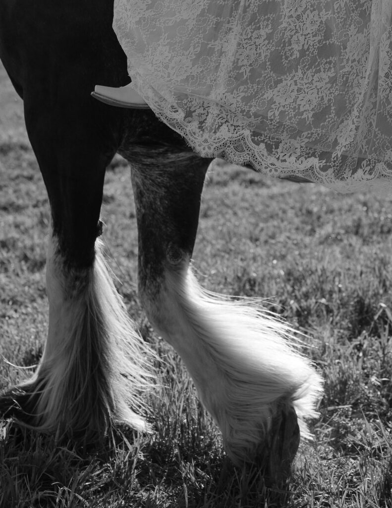 Close-up of a Clydesdale horse’s legs and flowing mane during a rustic Montana elopement at Clydesdale Outpost.