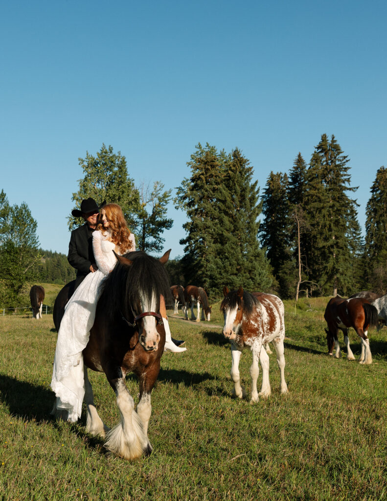 Bride walking her horse through a Montana pasture at Clydesdale Outpost during a Western-inspired elopement surrounded by grazing Clydesdales.