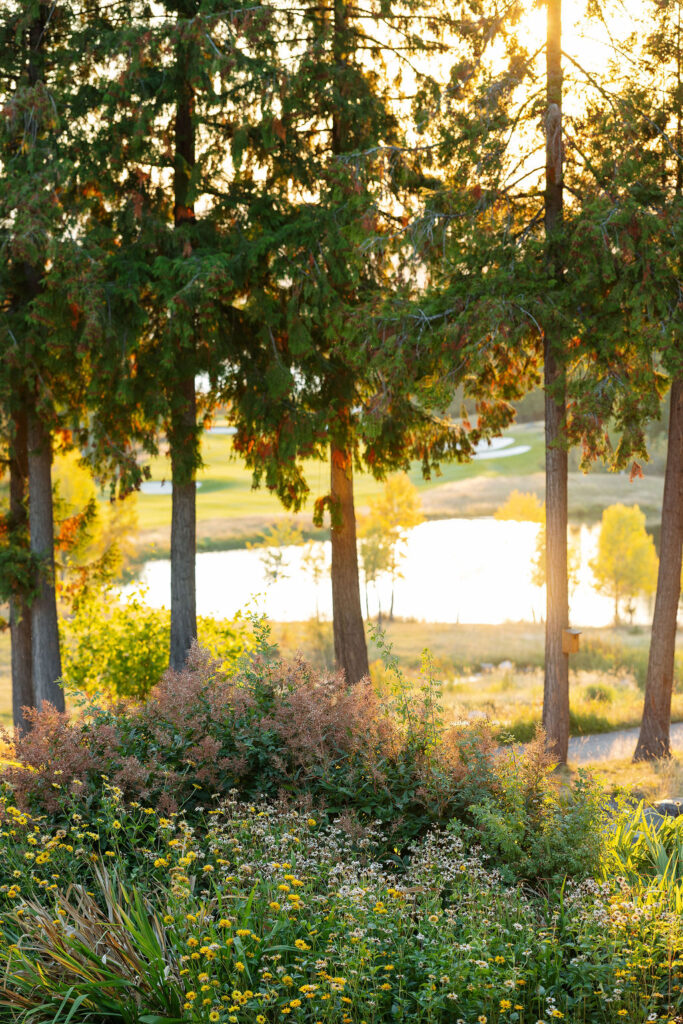 View of pine trees and lake at Iron Horse at sunset