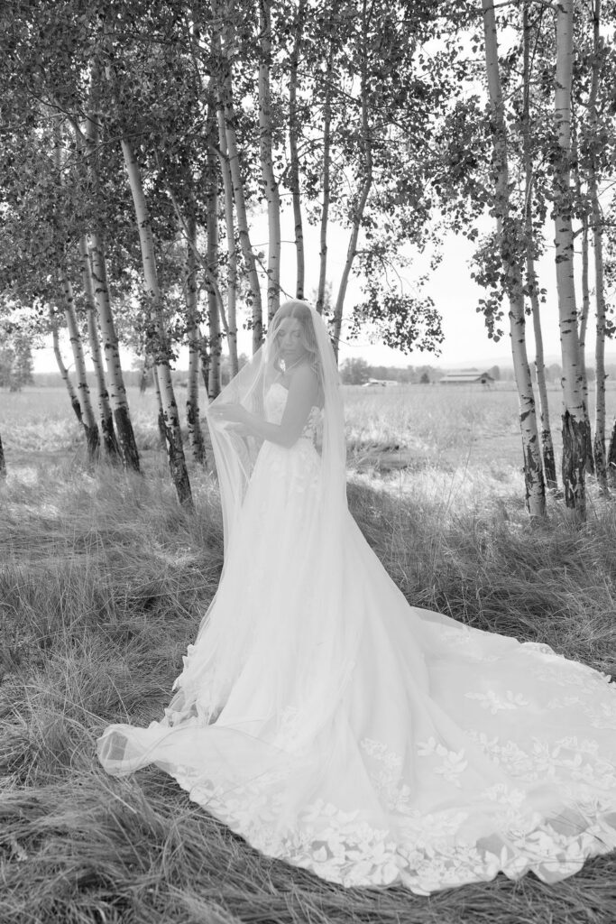 Black and white portrait of bride standing in a grove of trees with her wedding dress flowing behind her in Whitefish Montana
